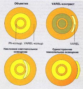 Varel-контраст